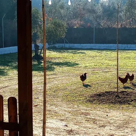 Manueles Ideal Perros Pet Friendly Holiday home *