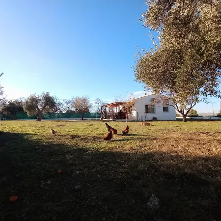 Manueles Ideal Perros Pet Friendly Holiday home *