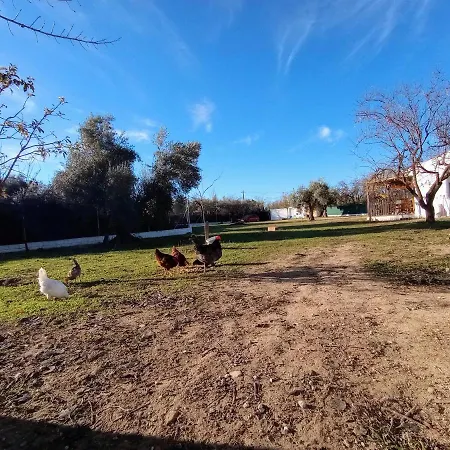 Holiday home Manueles Ideal Perros Pet Friendly