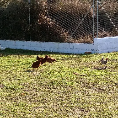 Holiday home Manueles Ideal Perros Pet Friendly *