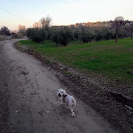 Manueles Ideal Perros Pet Friendly Holiday home Gojar