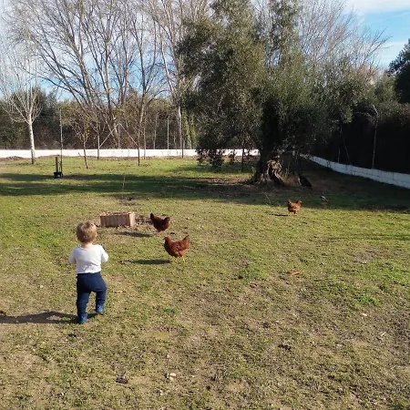 Manueles Ideal Perros Pet Friendly Holiday home