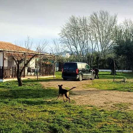 Manueles Ideal Perros Pet Friendly * Gojar