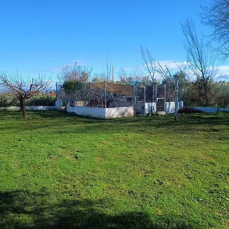 Manueles Ideal Perros Pet Friendly *